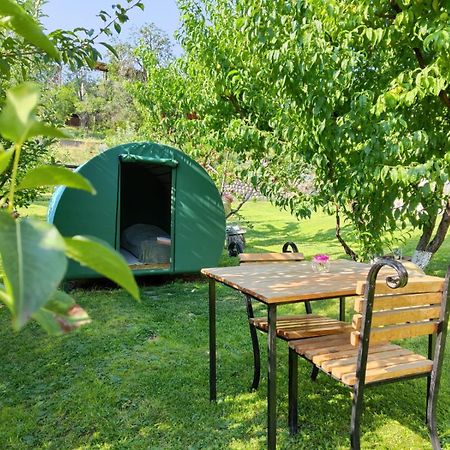 Nataly Campsite Yeghegnadzor Eksteriør bilde