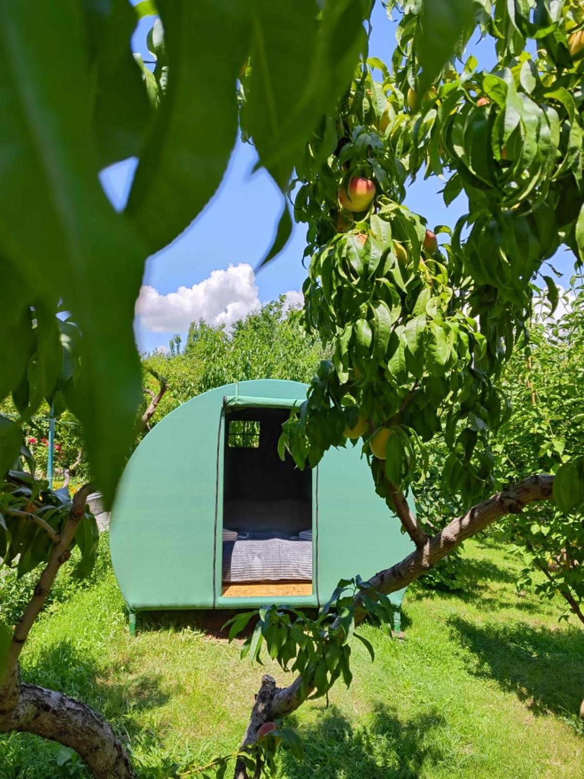 Nataly Campsite Yeghegnadzor Eksteriør bilde