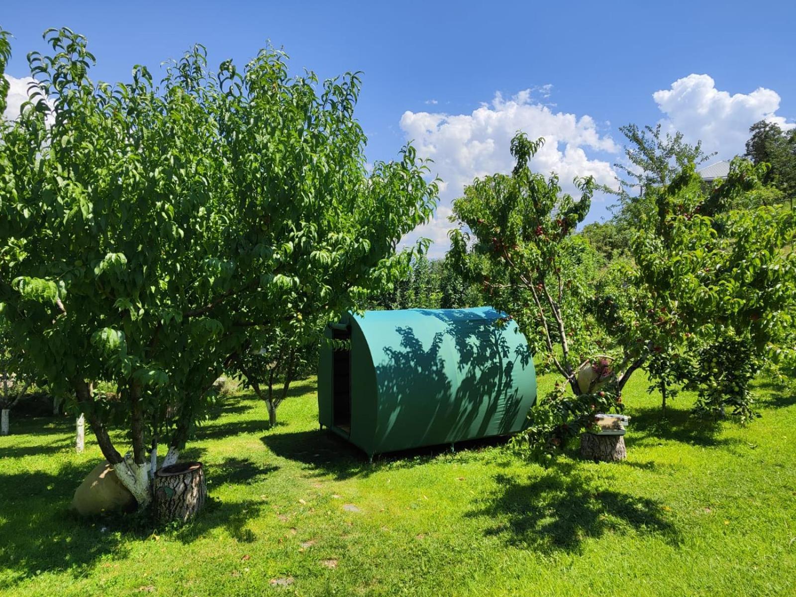 Nataly Campsite Yeghegnadzor Eksteriør bilde