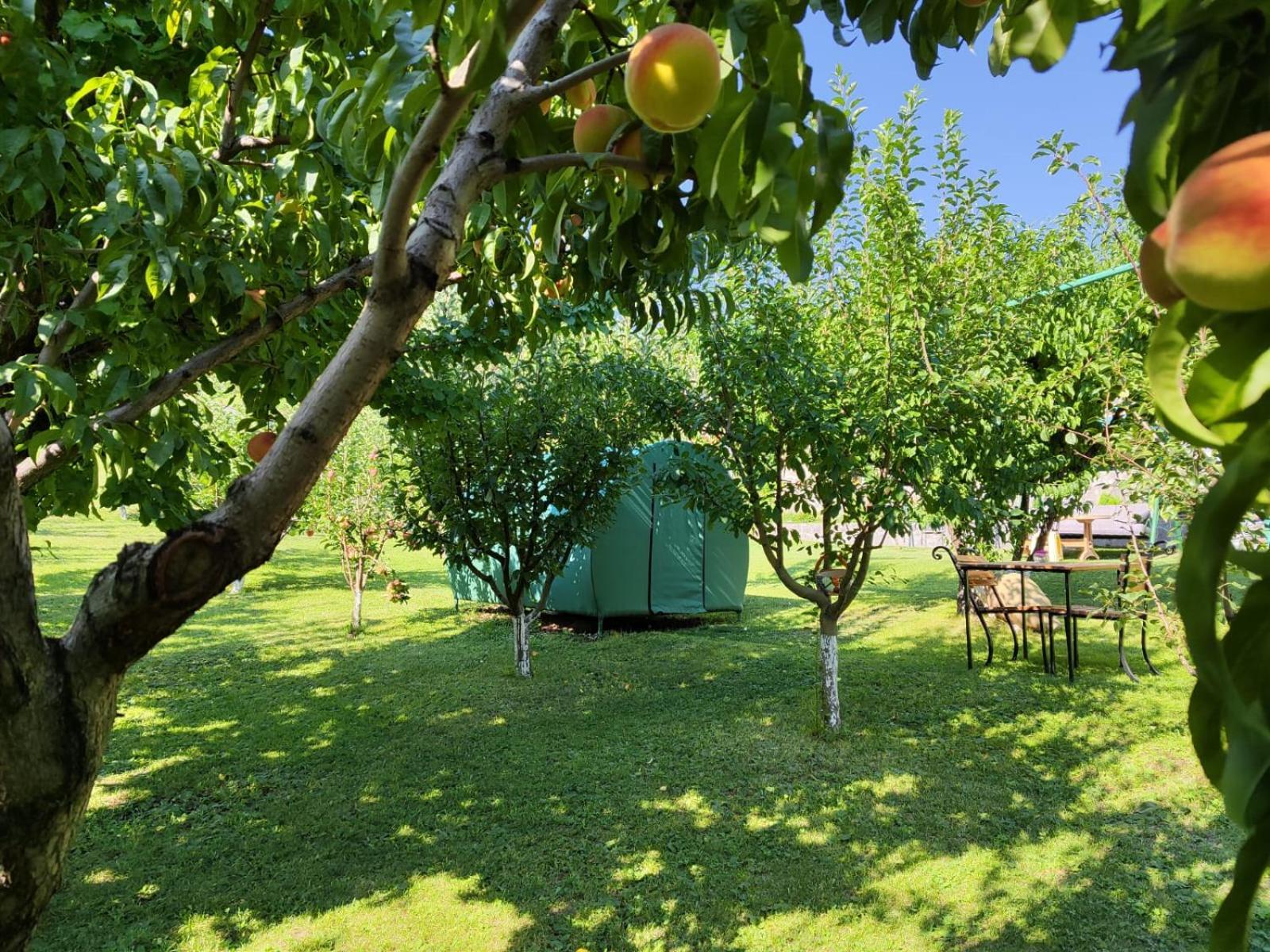 Nataly Campsite Yeghegnadzor Eksteriør bilde